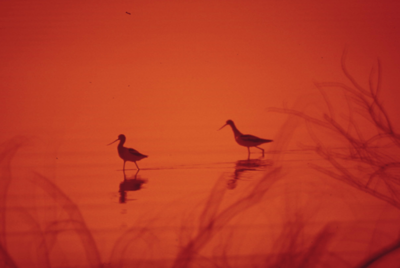 I really have no idea why you’re reading this.